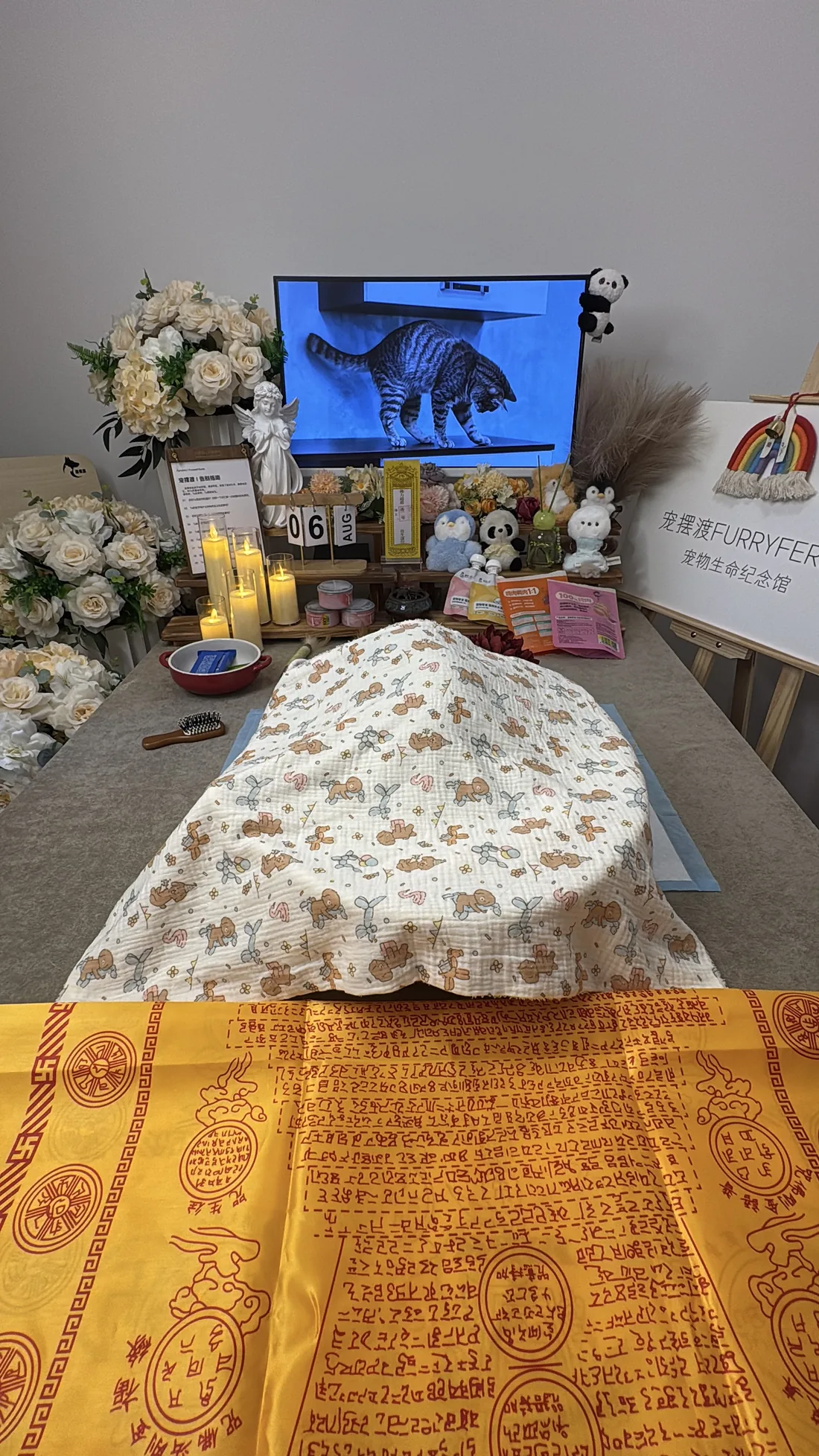 福州宠物告别仪式中的鲜花与纪念照片